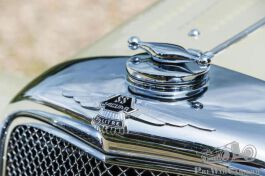 Jaguar%206(1).JPG