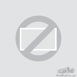 Salmson%20(8).jpg